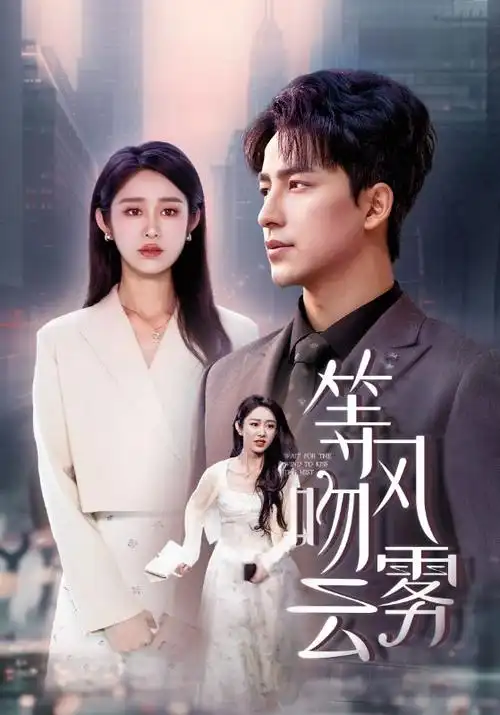 回声档案热播电视剧全集